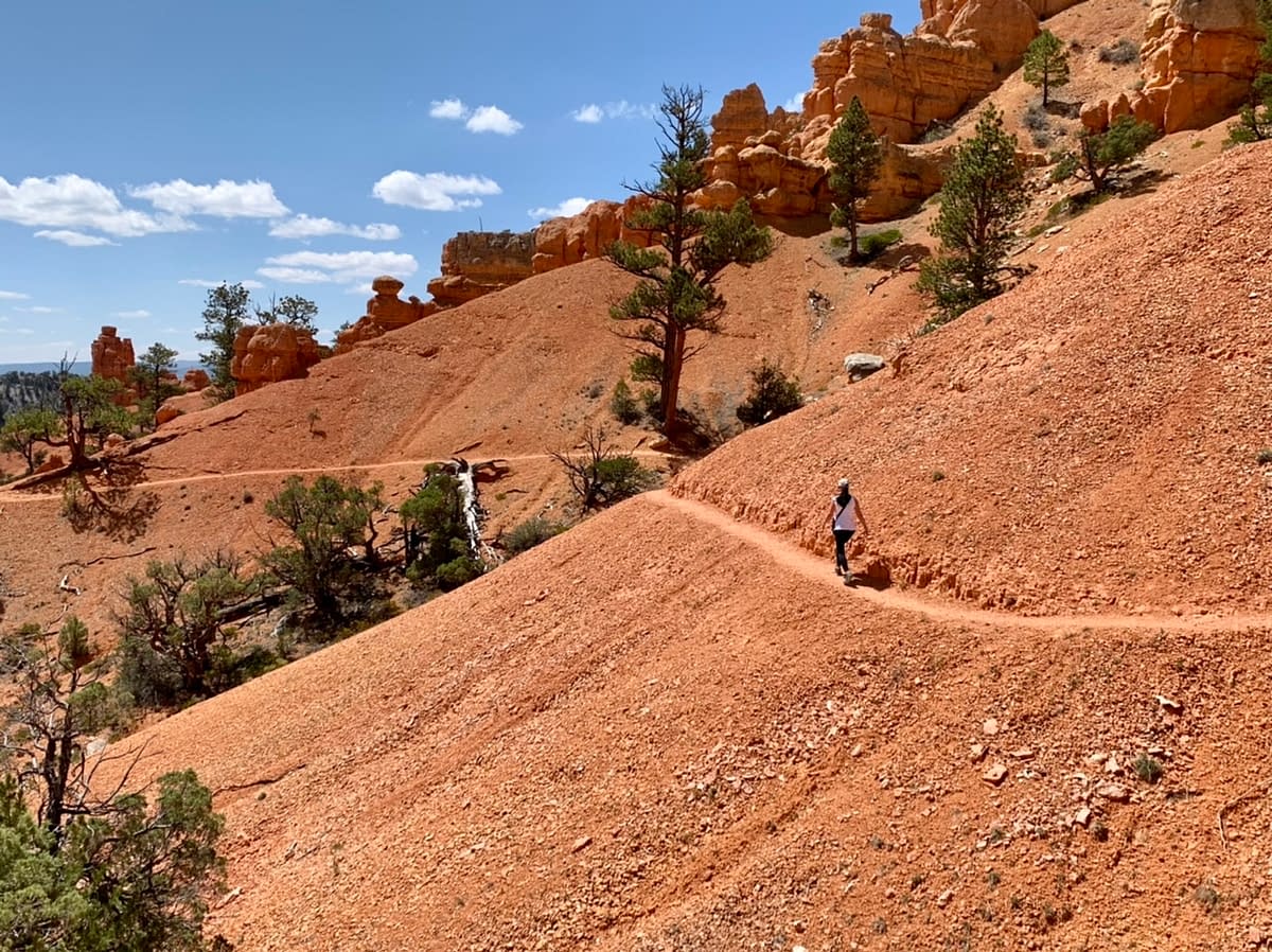 The Birdseye Trail in Utah's Red Canyon
