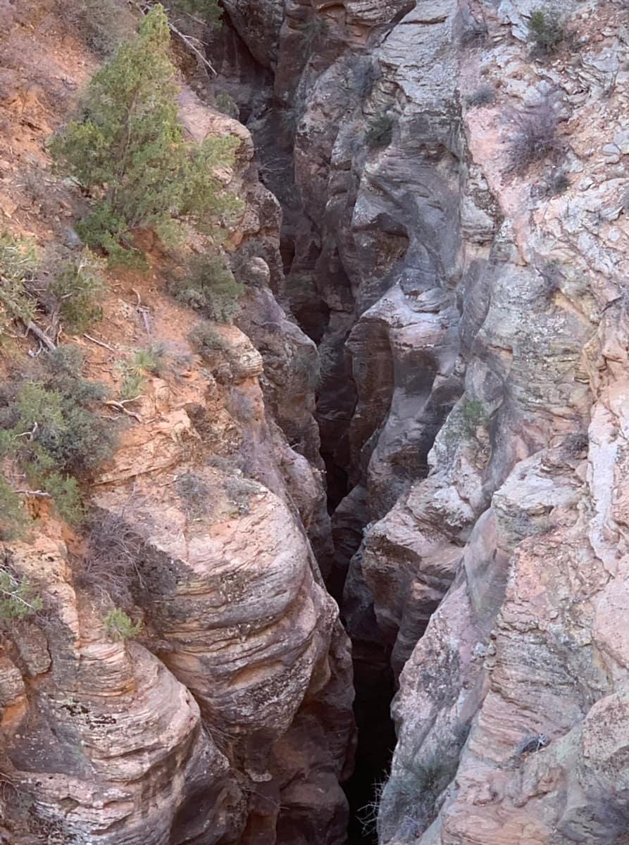 One of the sights below while hiking in Zion National Park