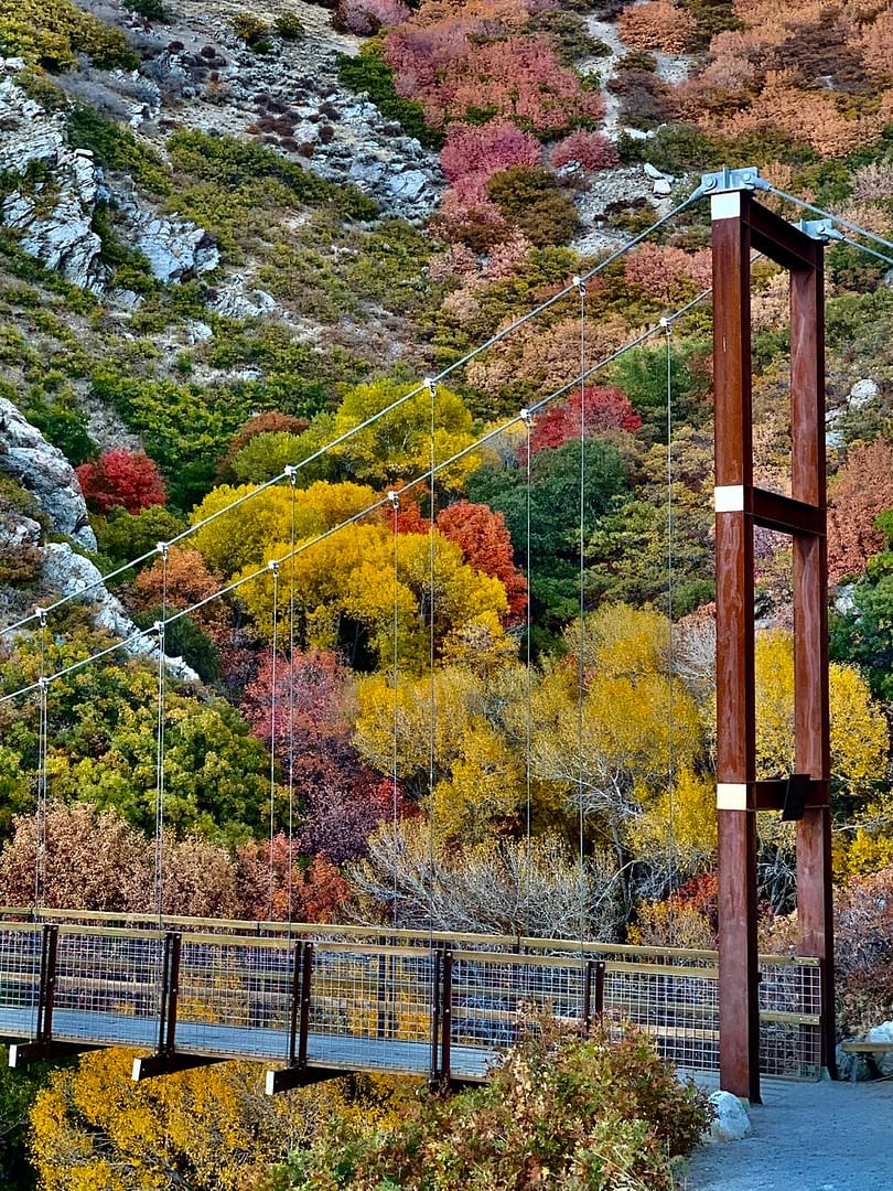 The Bear Canyon Suspension Bridge in the Fall