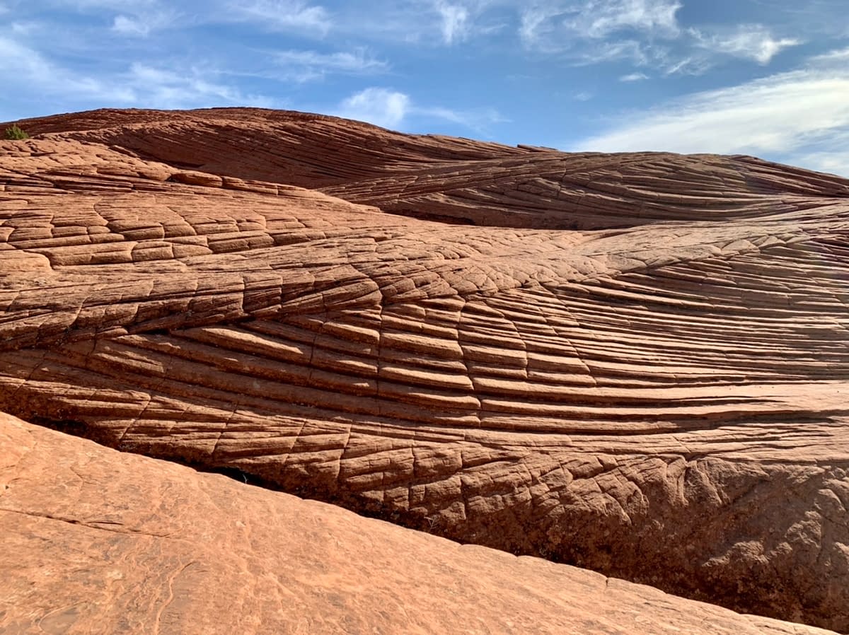 Close up picture of a Petrified Sand Dune at Snow Canyon State Park