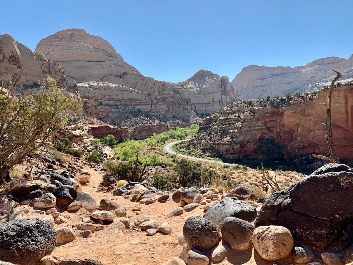 The white sandstone domes for which Capitol Reef National Park is named. Visiting Capitol Reef was one of my favorite travel experiences of 2020. 