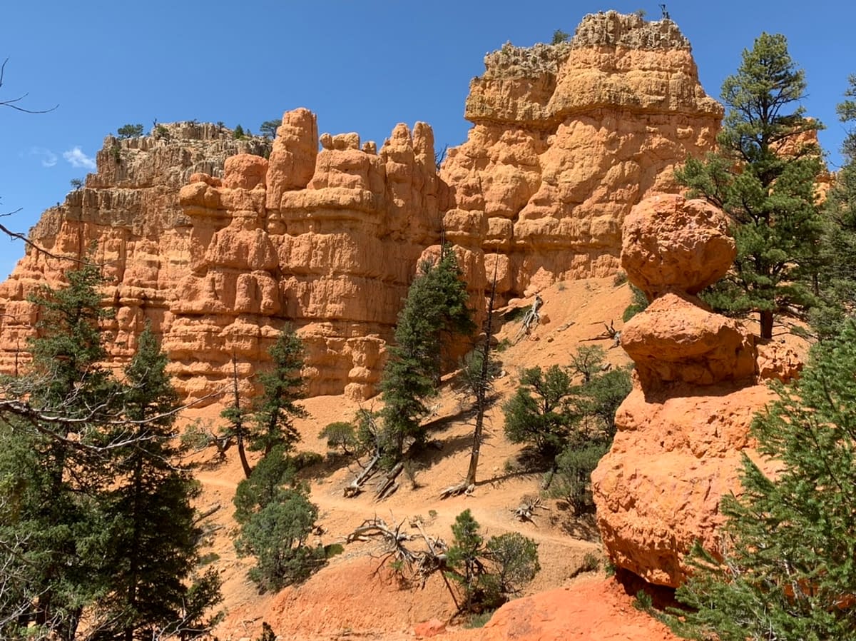 The Pink Ledges Trail in the Dixie National Forest in Utah
