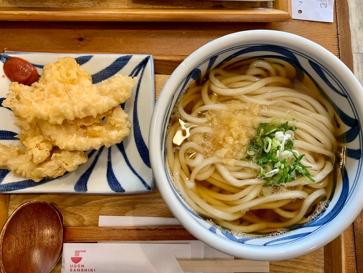 Udon and Chicken Tempura from Udon Sanshiki in Kyoto Japan