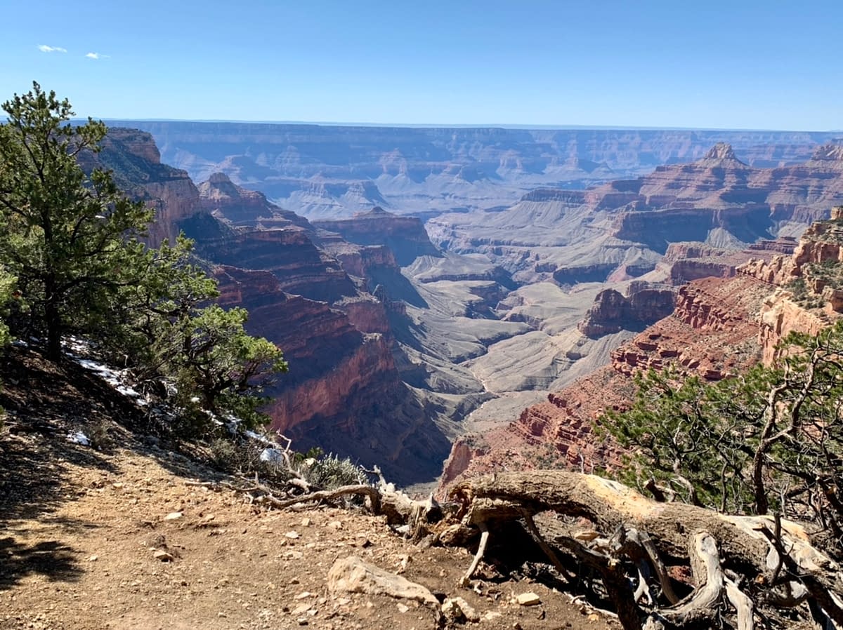 The Grand Canyon from Point Royal 