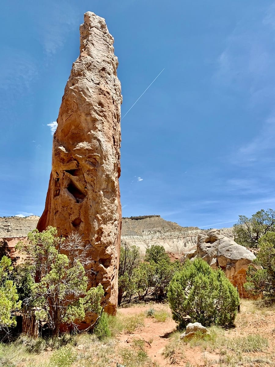 A sedimentary pipe along the Nature Trail in Kodachrome Basin State Park