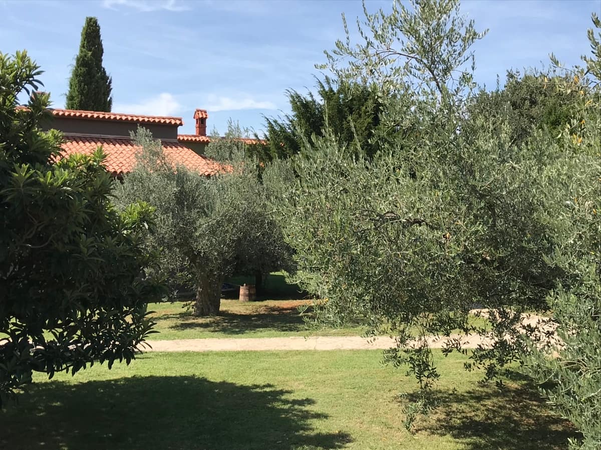 Chiavalon olive oil farm located on the Istrian peninsula in  Croatia
