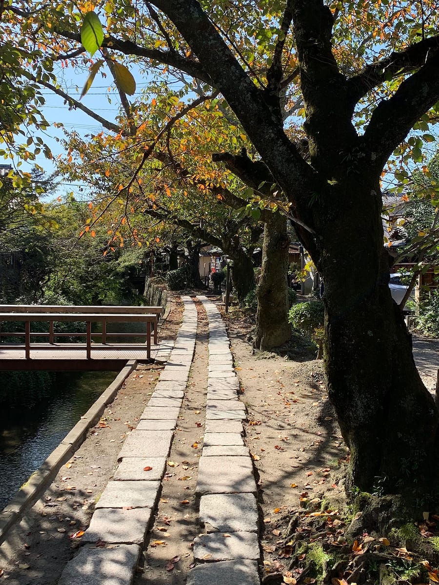A view down the stone pathway on Philosopher's Walk in Kyoto Japan