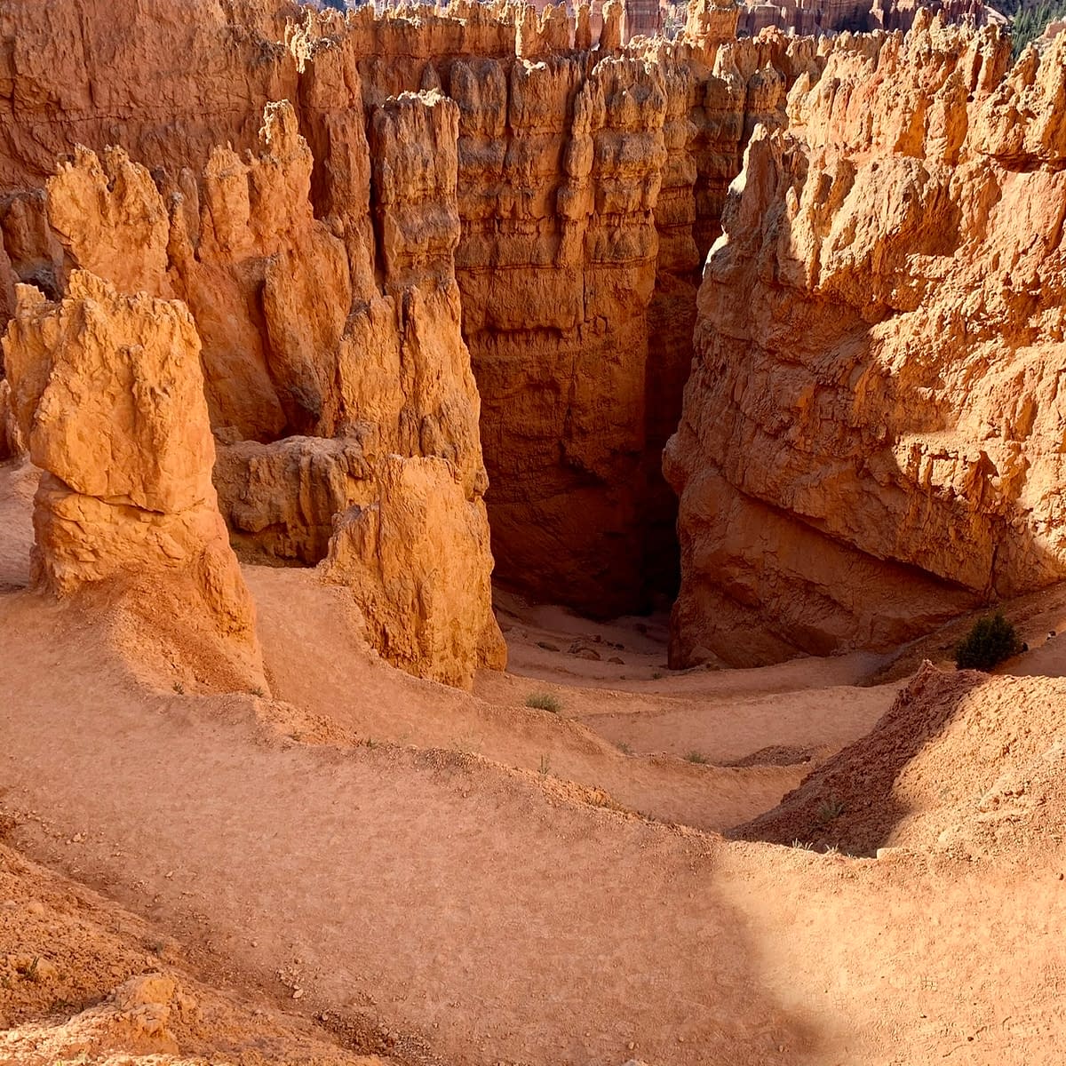 The Navajo Loop Trail in Bryce Canyon