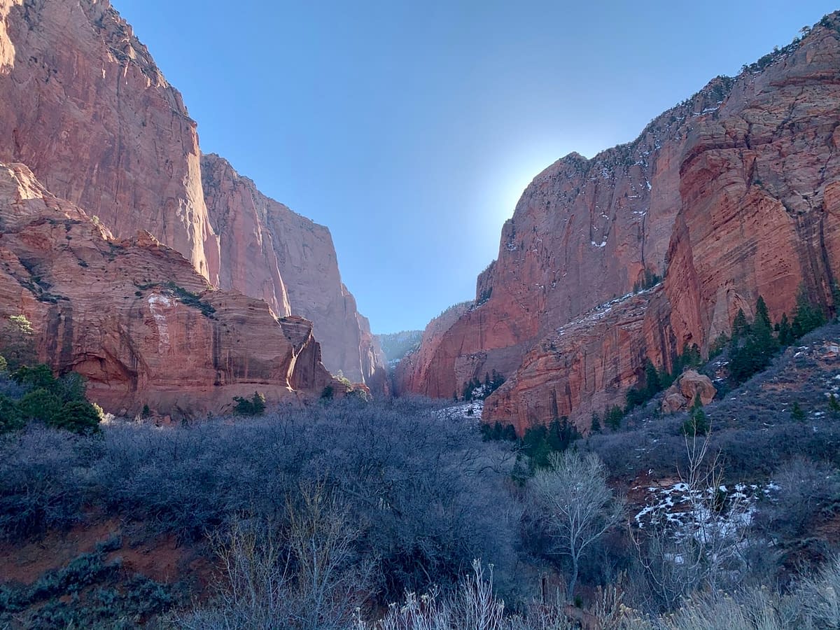 Red Sandstone canyon in the morning light in the Kolob Canyons section of Zion National Park
