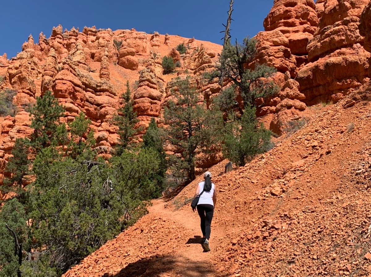 The start of the Pink Ledges Trail in Utah's Red Canyon