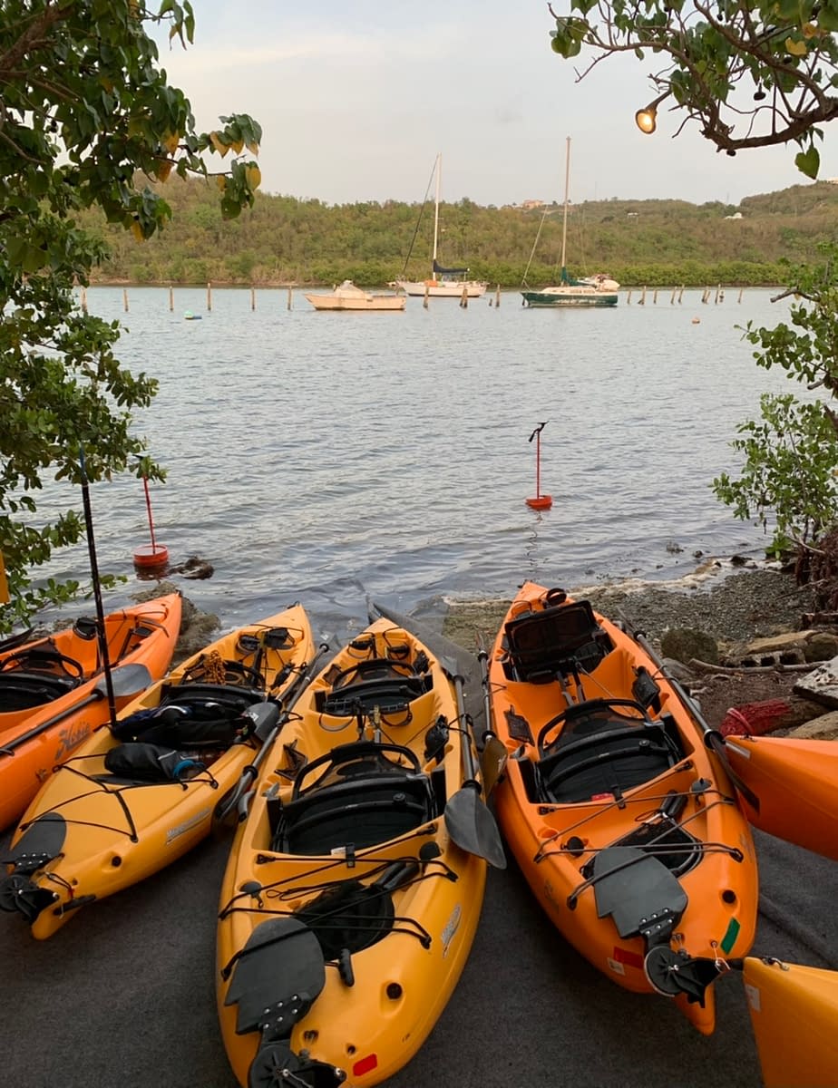 Kayaks lined up at Salt River Bay  - peddling these through a Bio Bay is one of the great things to do in St Croix