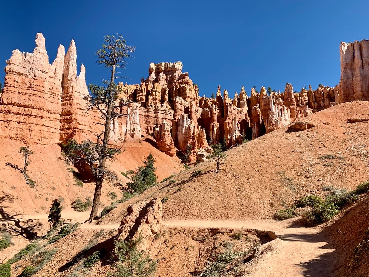 An empty trail in Bryce Canyon
