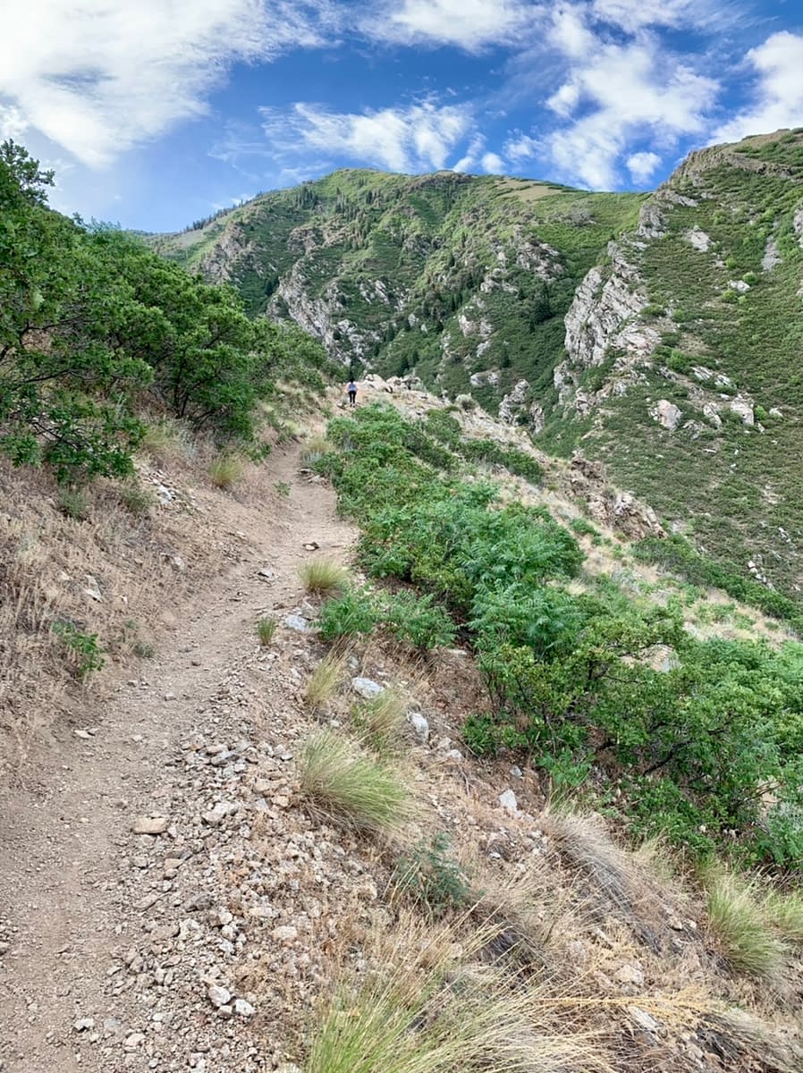The steep initial ascent from the north side of the Bear Canyon Loop Trail in Draper Utah