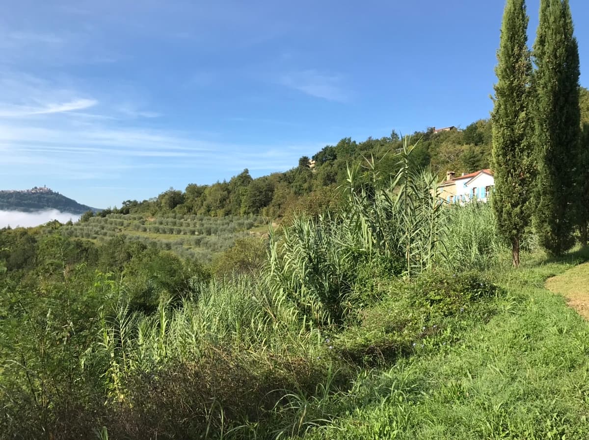 Hillside villa across from Motovun Croatia
