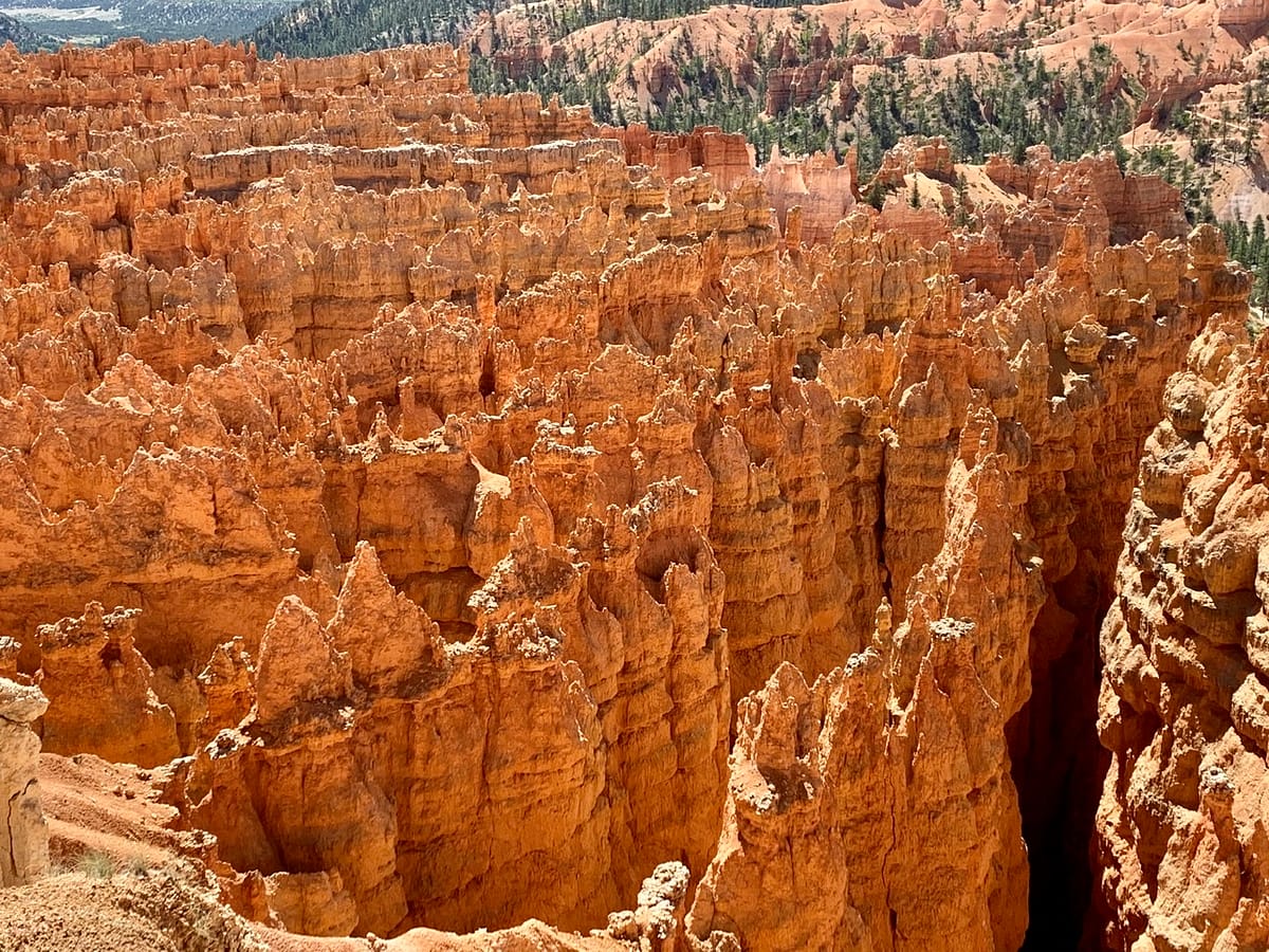 Looking down into the Bryce Canyon hoodoos from just southwest of Sunset Point