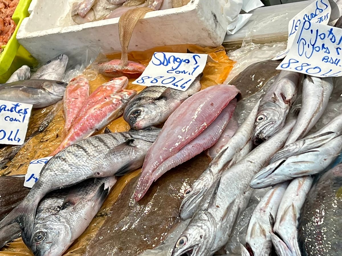 A variety of fish at the Mercado Central in Cadiz Spain