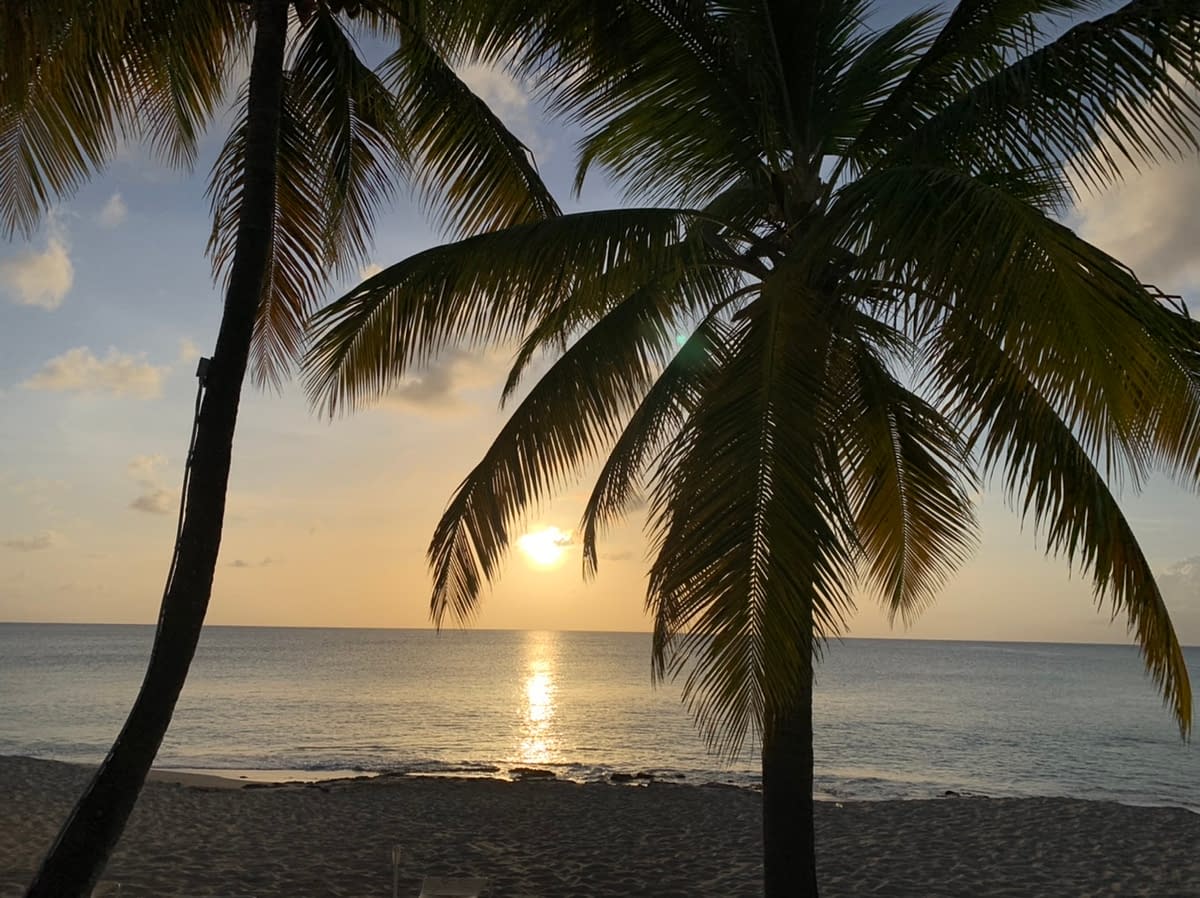 Sunset over the Caribbean through palm trees near Frederiksted St Croix