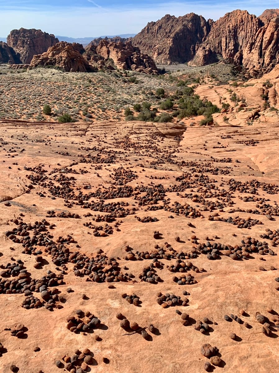 Moqui Marbles along the Petrified Dunes Trail in Utah's Snow Canyon