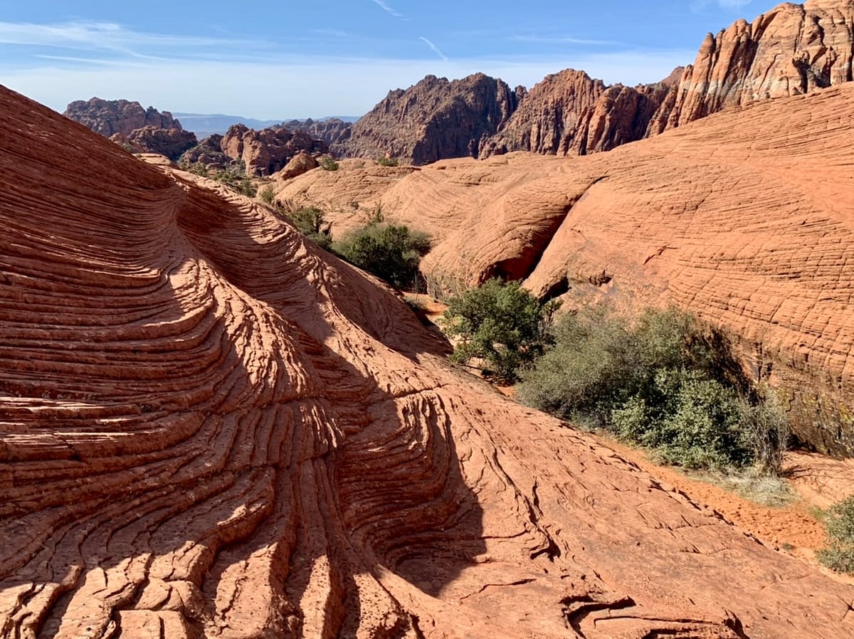 Hiking the Petrified Dunes Trail in Utah's Snow Canyon State Park was one of my favorite Food and Travel Experiences of 2021