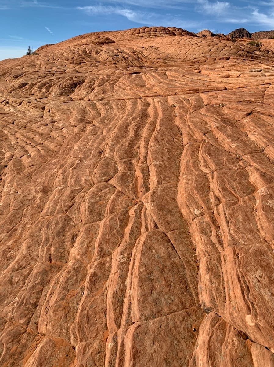 Close Up of the irregular surface of a Petrified Sand Dune