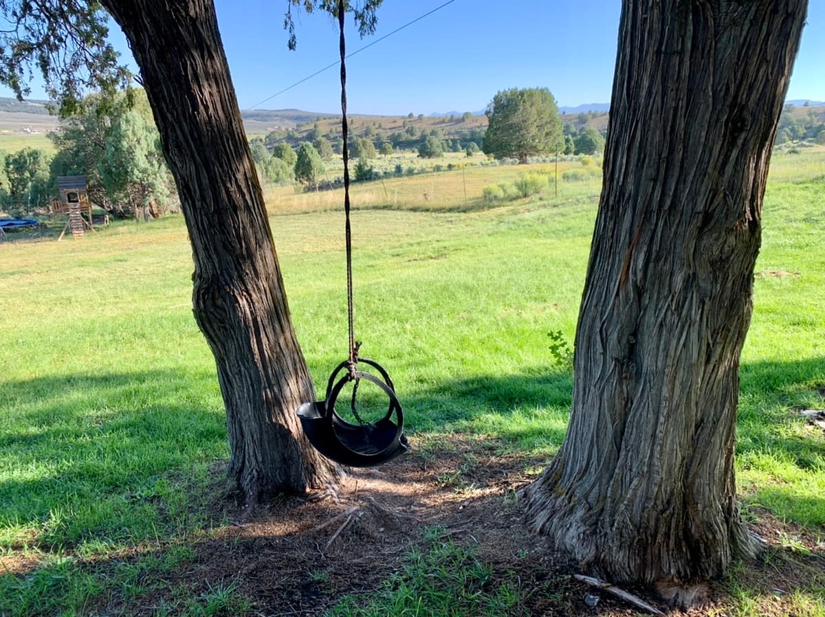 A swing hanging from a tree in one of the large yards at the Sevier River Ranch