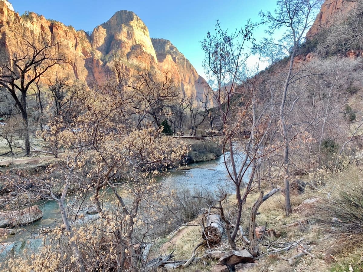 Zion Canyon in the afternoon light from along the Virgin River