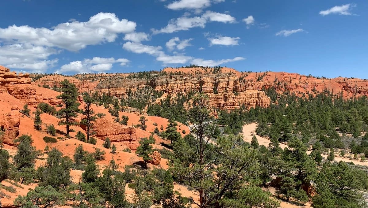 The view out across Red Canyon from the Birdseye Trail