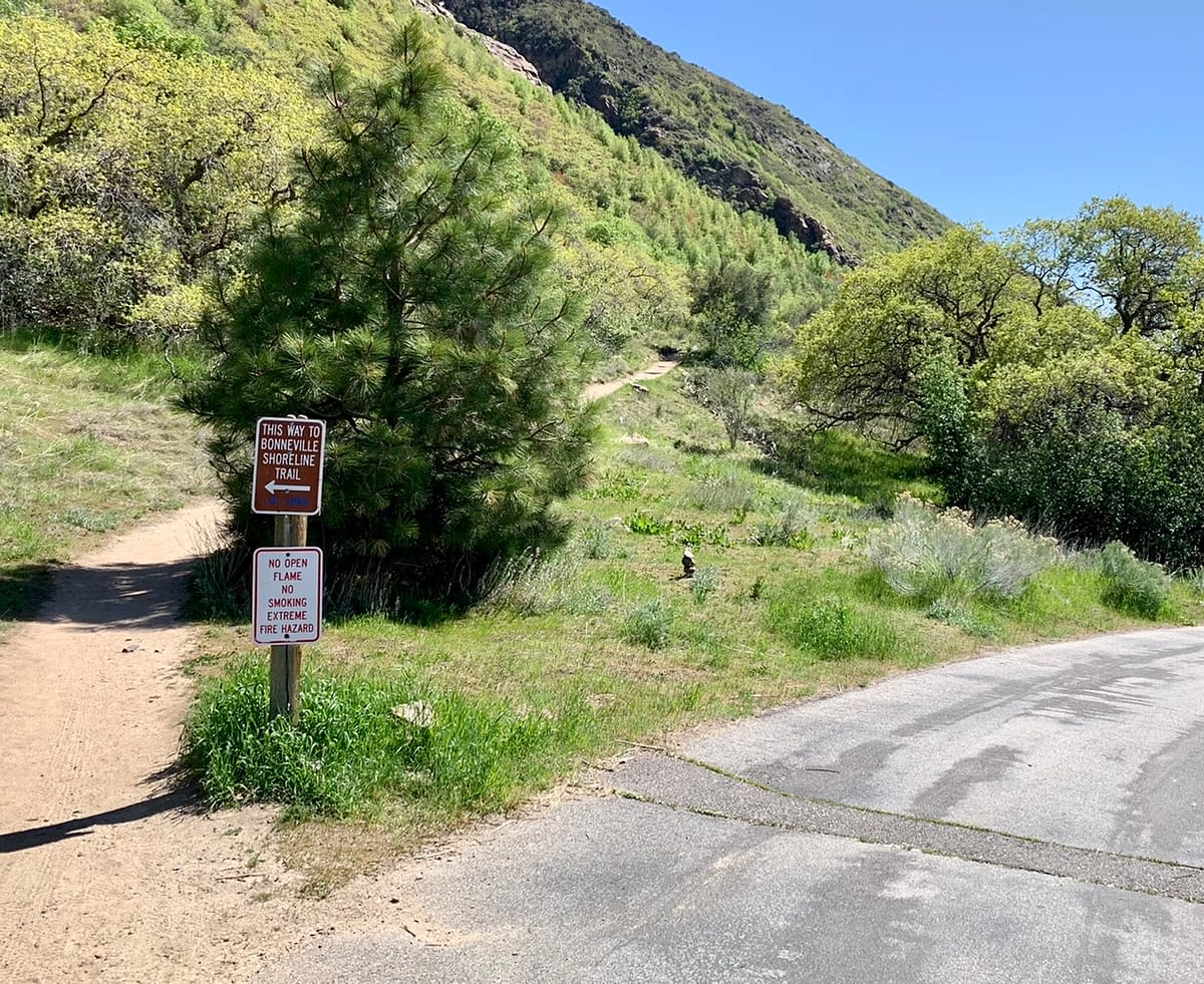 The start of the trail to the Bear Canyon Suspension Bridge from Hidden Valley Park