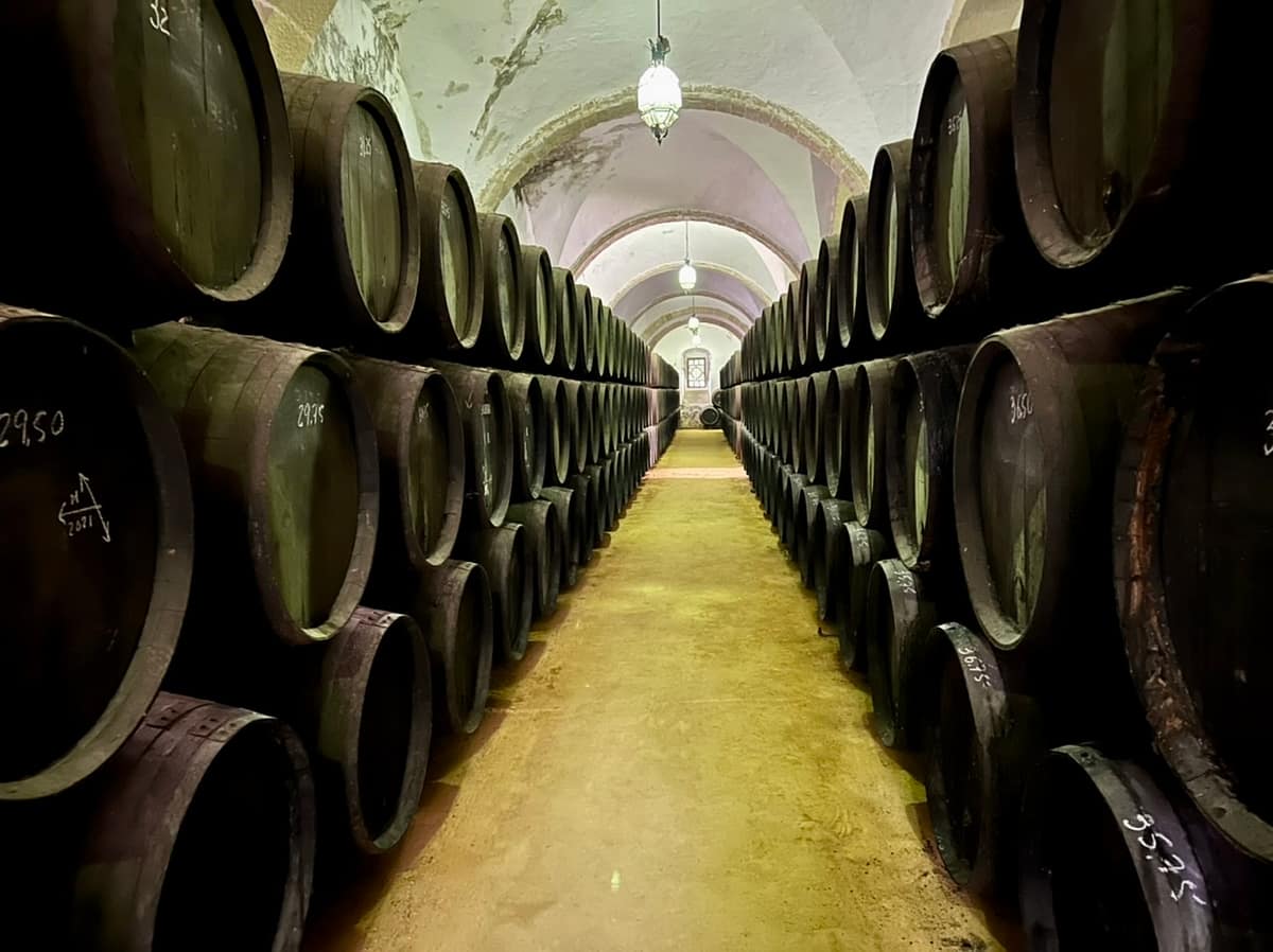 Casks of Sherry lined up at Diez-Merito Bodega in Jerez