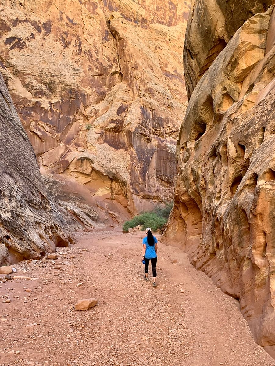 The narrow walls along the Grand Wash hike in Capitol Reef National Park