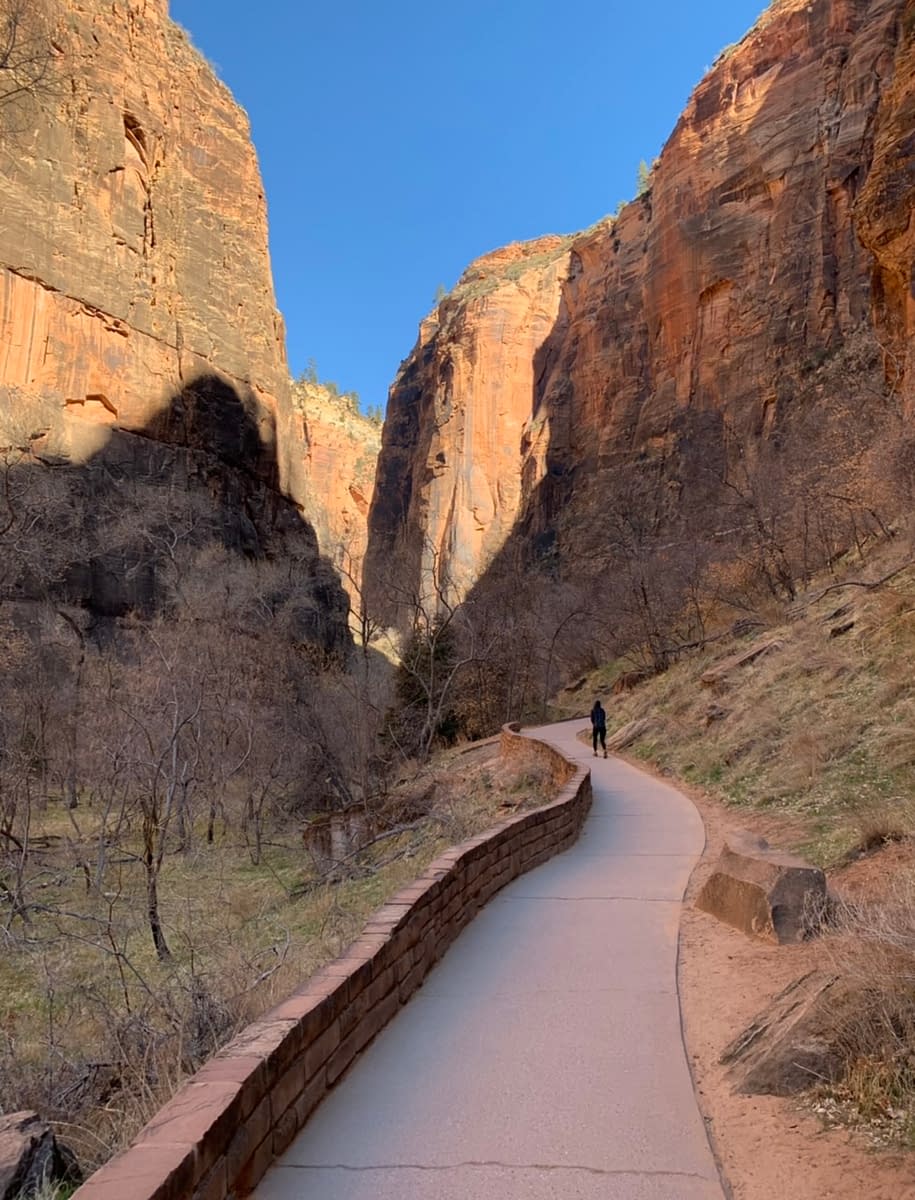Near the beginning of the Riverside Walk in Zion National Park