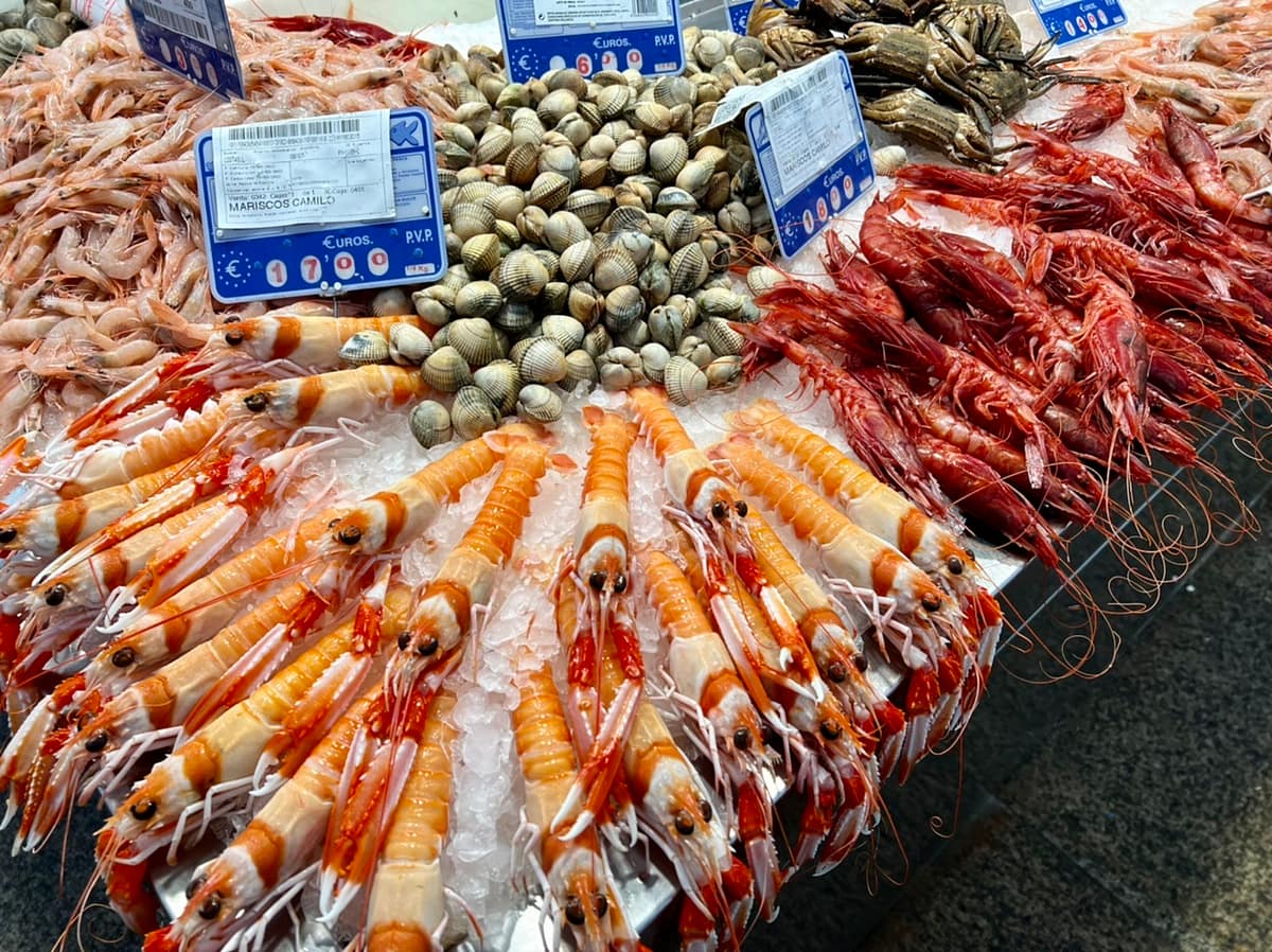 A variety of shellfish at the Mercado Central in Cadiz Spain
