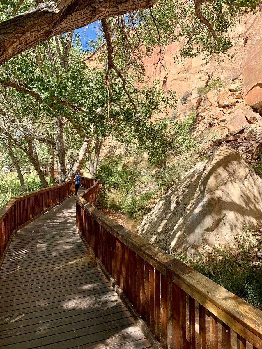 Viewing area and boardwalk for the Fremont Petroglyphs in Capitol Reef National Park