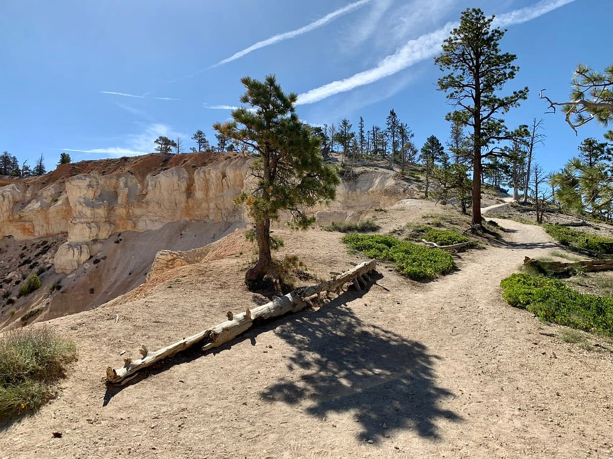 The Rim Trail near Bryce Point in Bryce Canyon National Park