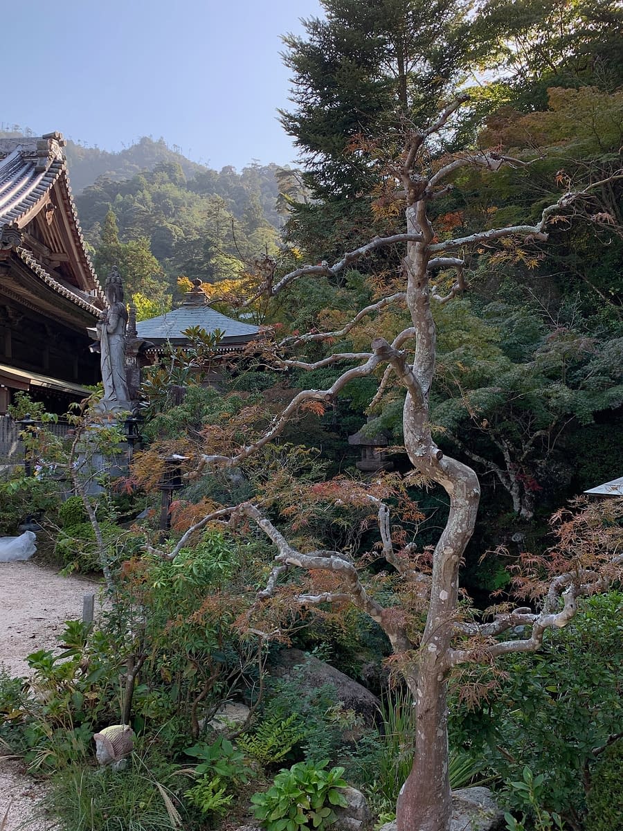Buildings at Daisho-in temple with Mount Misen behind