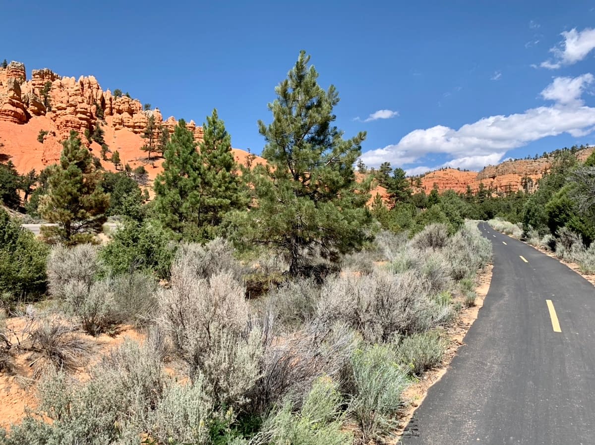 The paved biking trail along Scenic Byway 12 in Red Canyon