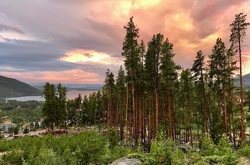 Majestic pines at sunset at Grand Lake Colorado