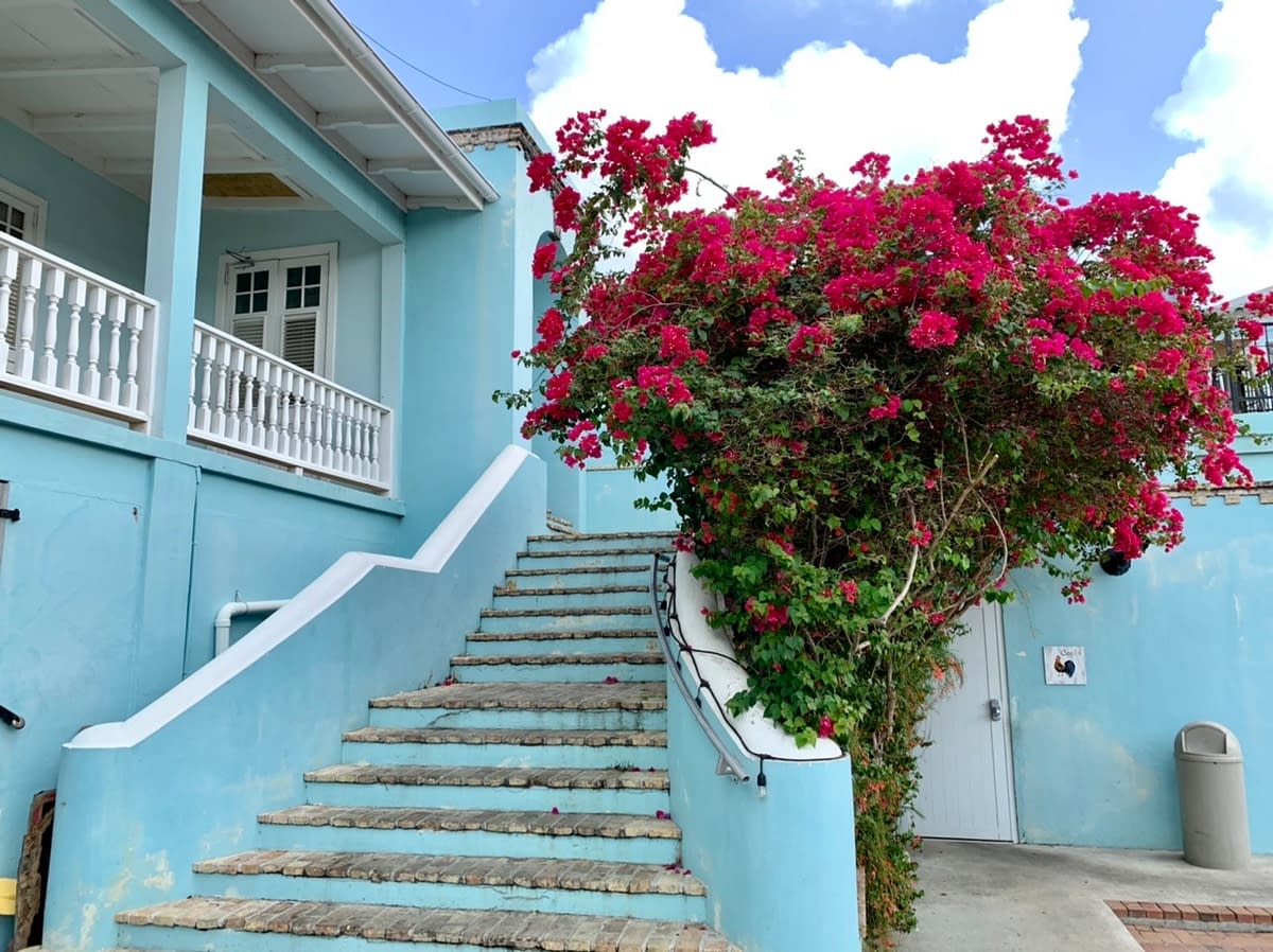 One of the courtyards that can be found while wandering around Frederiksted