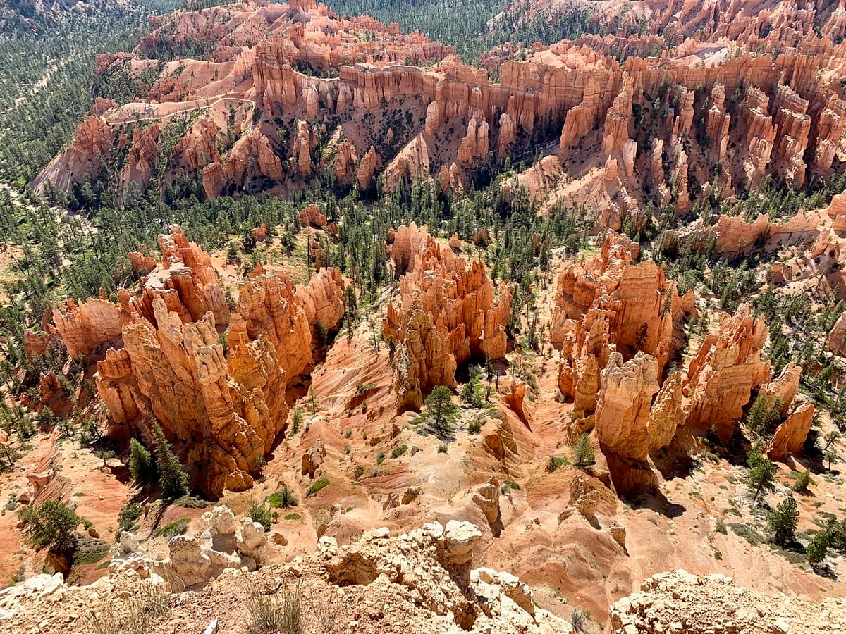Looking down into the Bryce Amphitheater along the Rim Trail near Inspiration Point