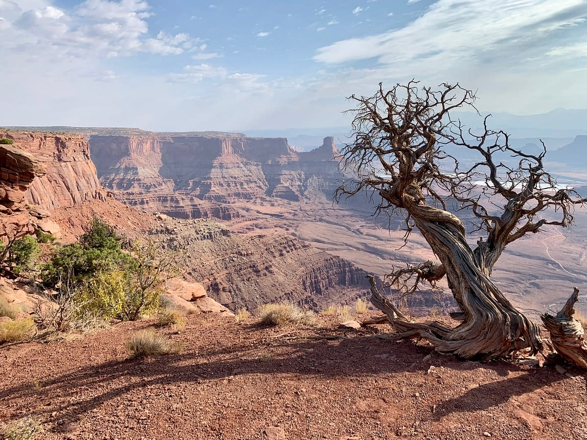 The view while walking the East Rim Trail at Dead Horse Point