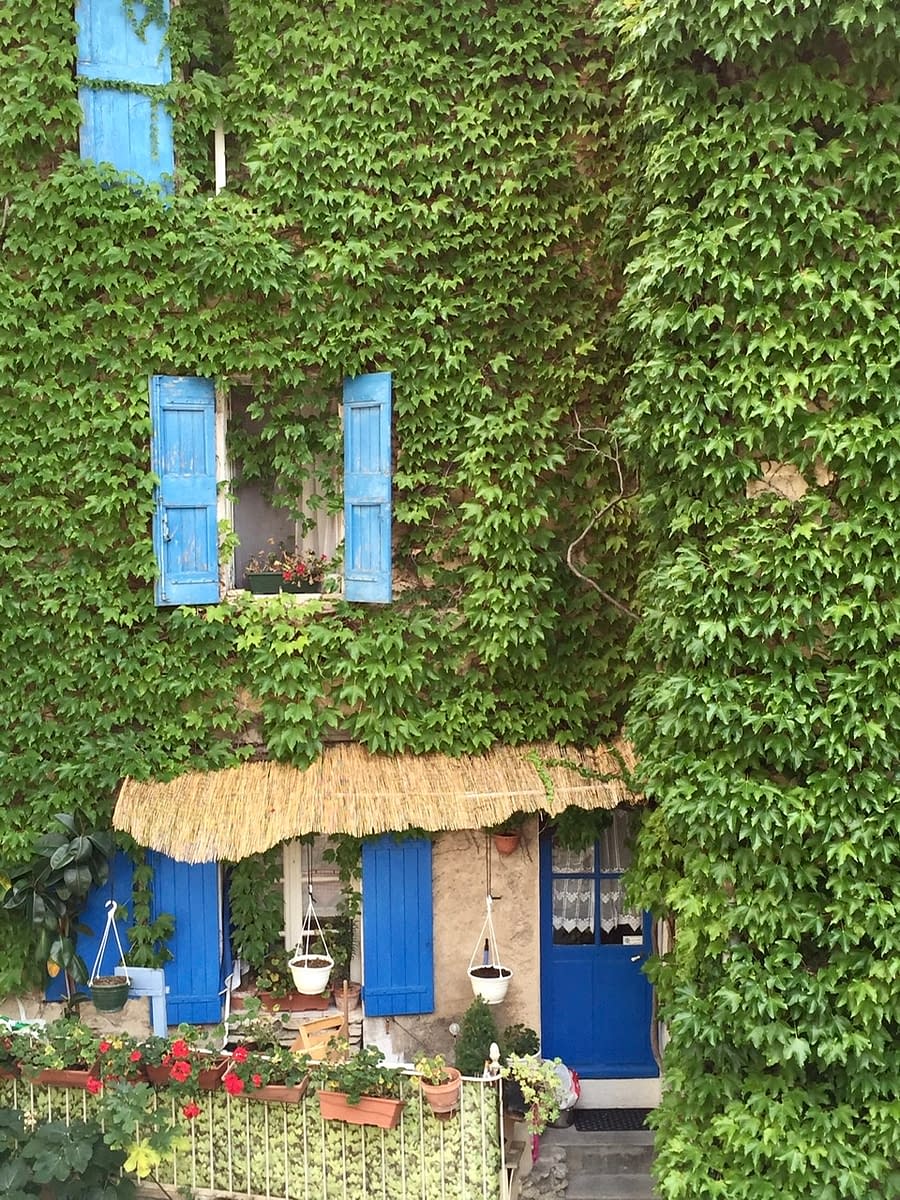 Any ivy covered house along the streets Bonnieux France.  Bonnieux is located in the northern Luberon in Provence France