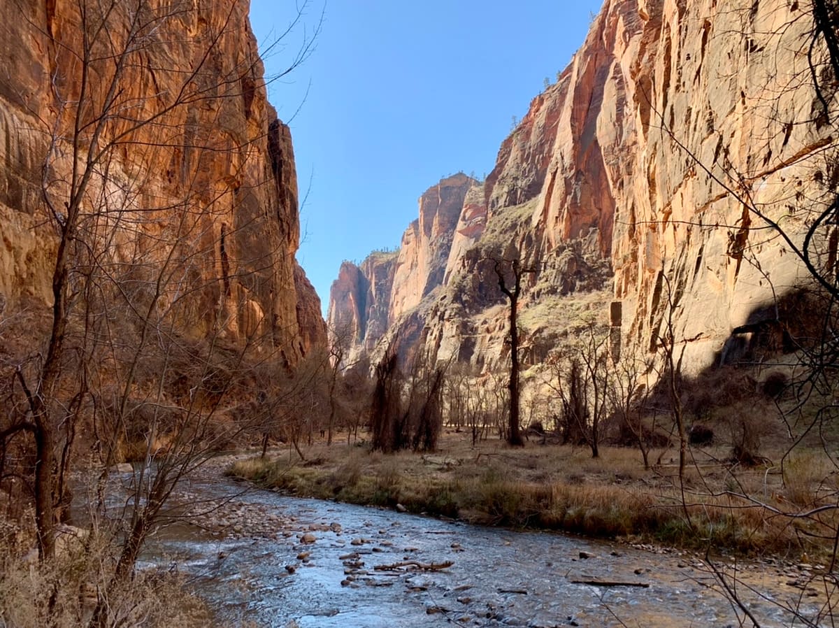 A view along the Riverside Trail in Zion National Park