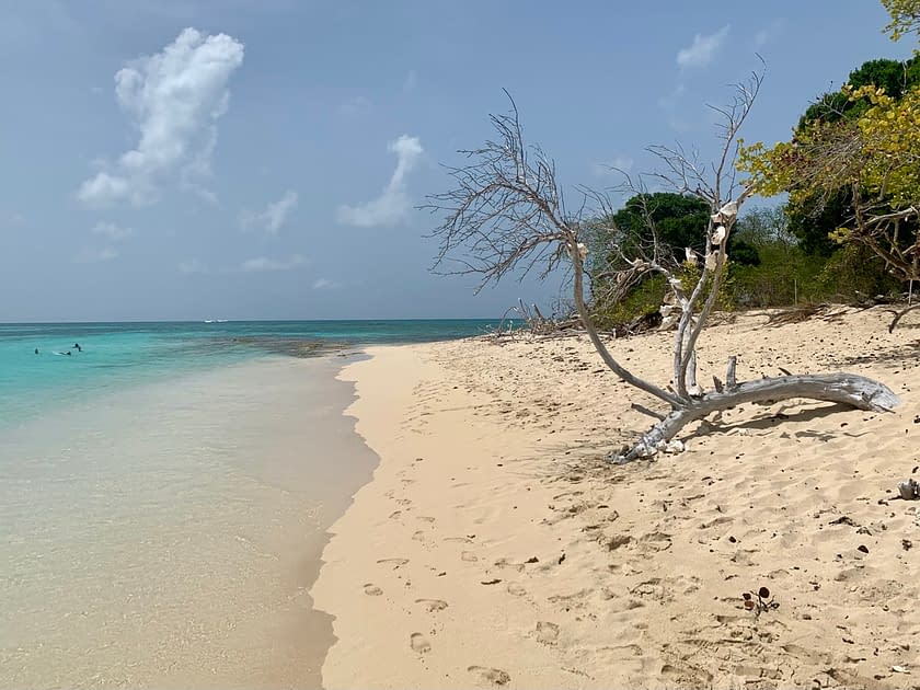 Turtle Beach on Buck Island near St Croix Virgin Islands
