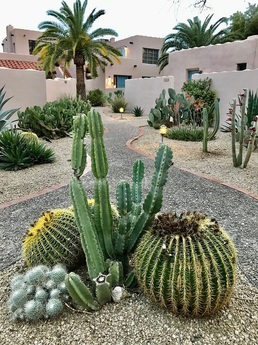 One of the courtyards at Lodge On The Desert In Tucson Arizona