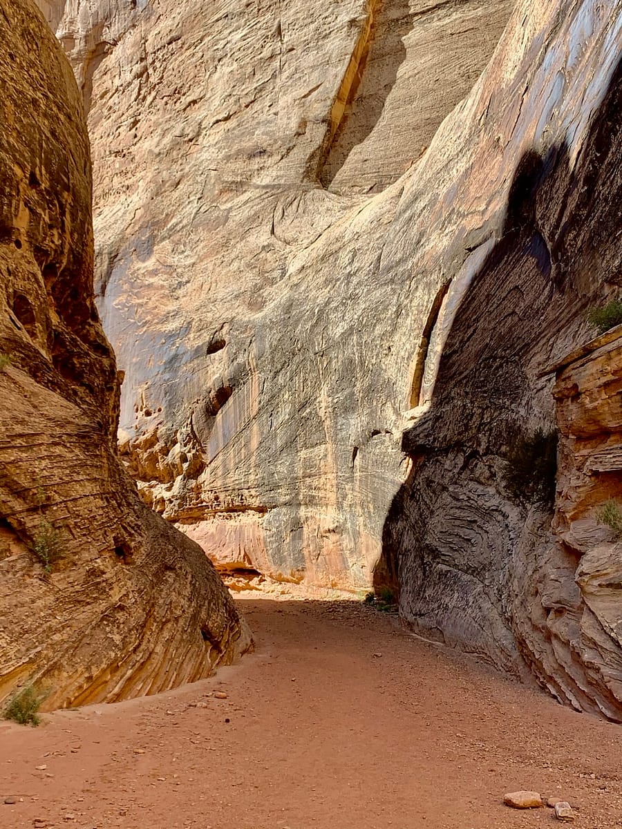 The trail through Capitol Reef's Grand Wash