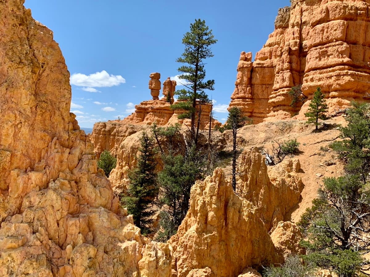 Hoodoos in Red Canyon along the Pink Ledges Trail