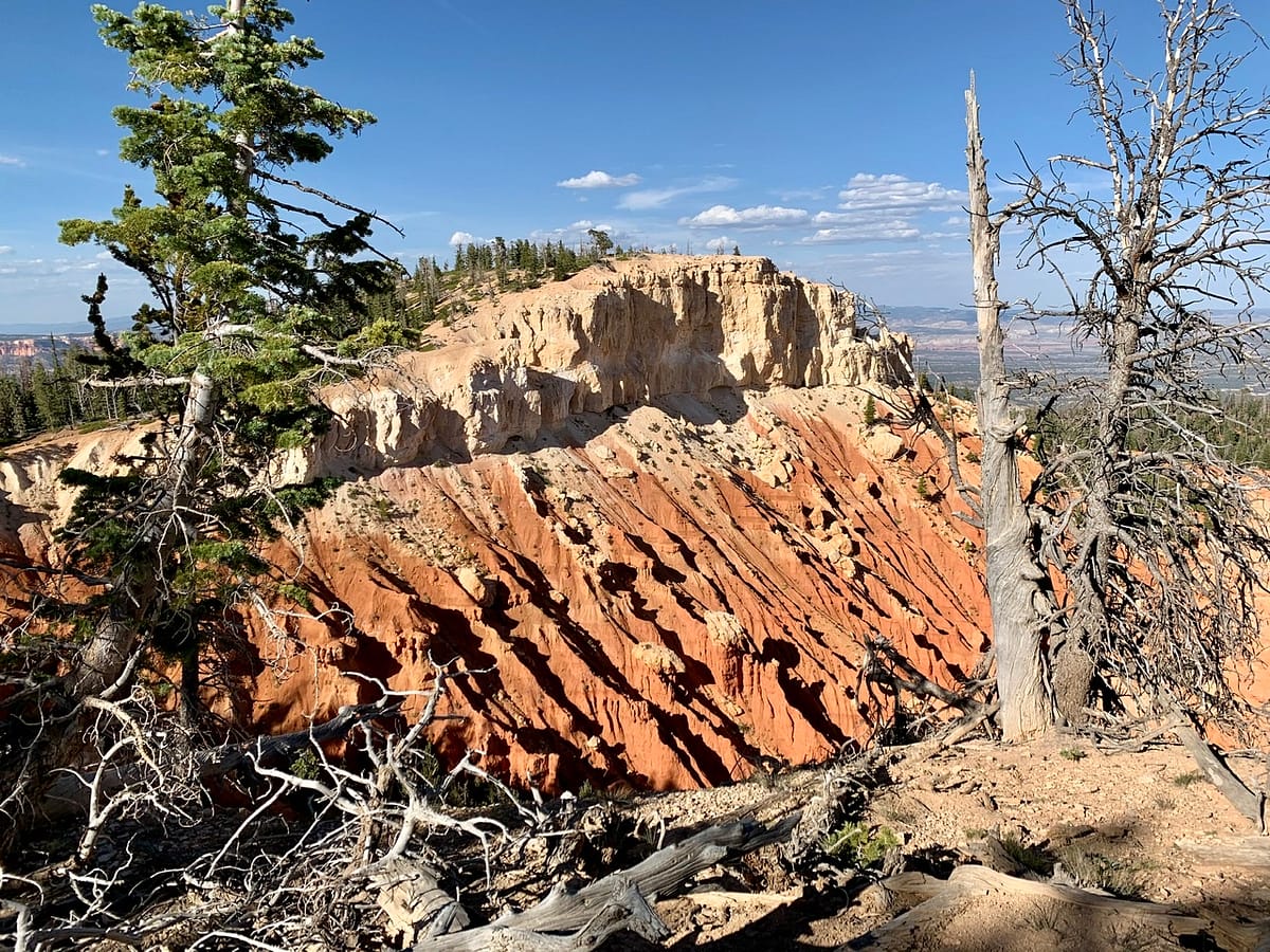 A view from the Bristlecone Loop Trail near Yovimpa Point in Bryce Canyon National park