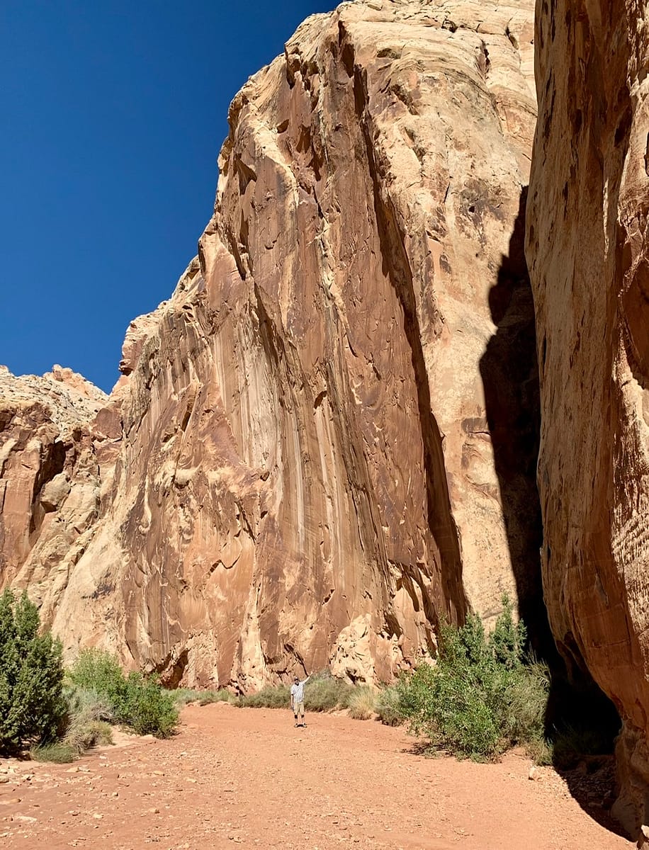The tall sandstone walls along the Grand Wash Trail in Capitol Reef National Park