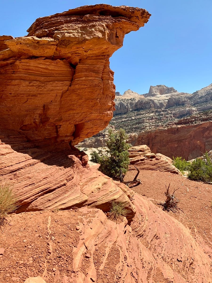 Unusual and beautiful rock formations in Capitol Reef National Park